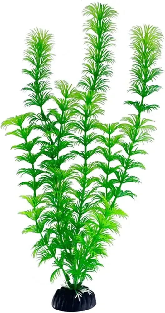 PLANTA GRANDE X2U