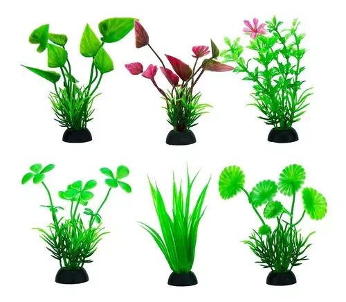 PLANTA MEDIANA X2U