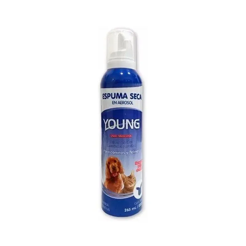 ESPUMA SECA