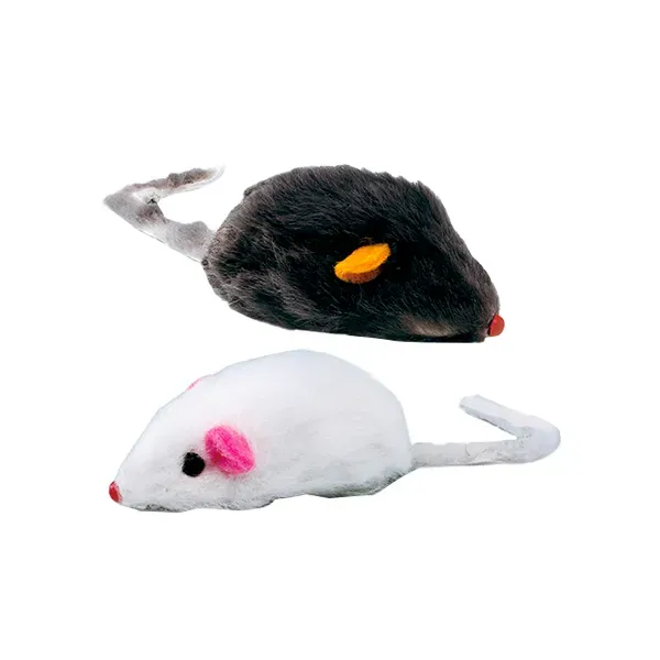 RATITA