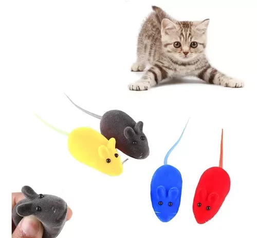 RATITA DE PLASTICO